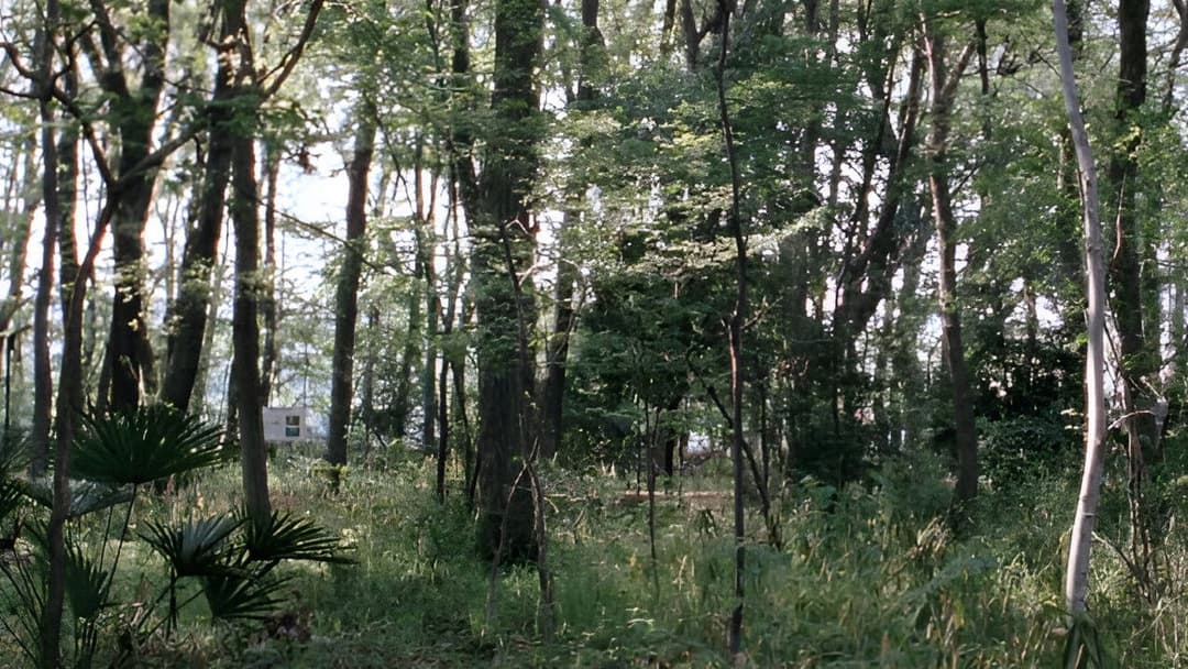 Like Father, Like Son backdrop 12