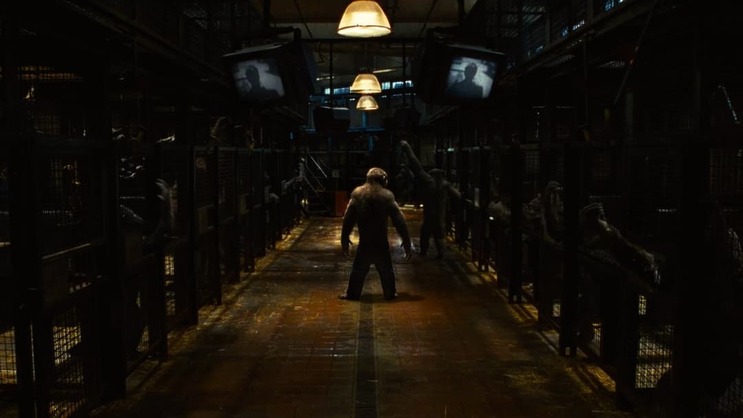 Rise of the Planet of the Apes backdrop 20