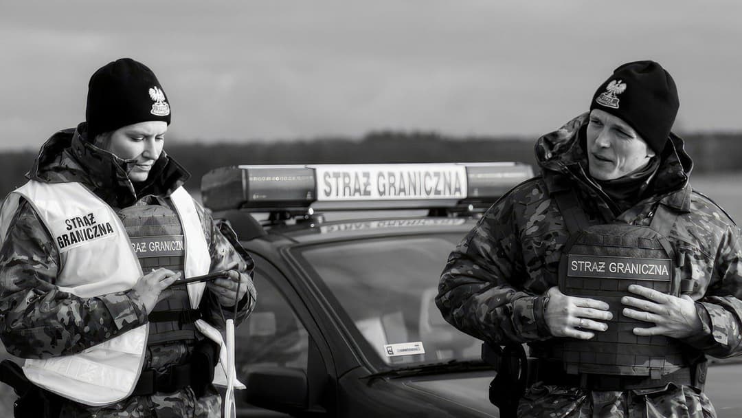 Зелений кордон backdrop 11