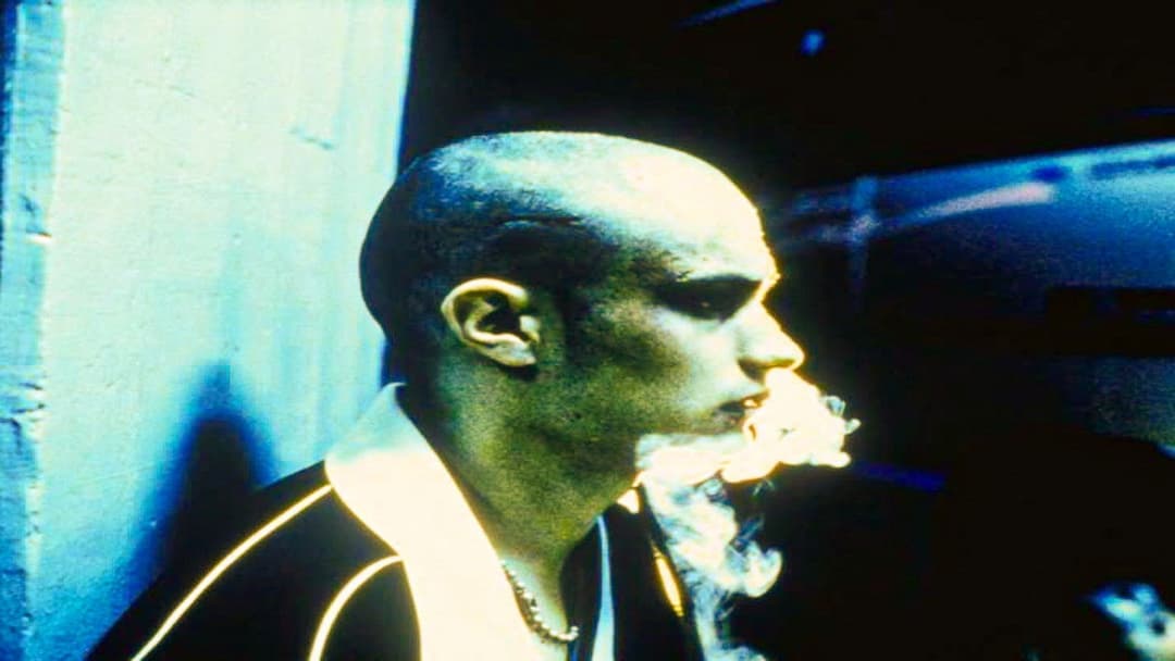 Amores perros backdrop 17