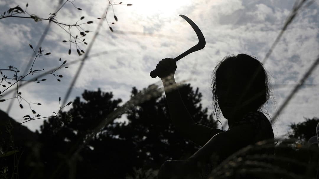 Bedevilled backdrop 2