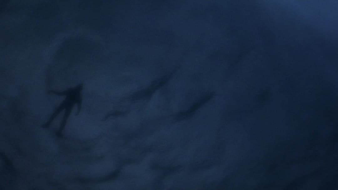 The Bourne Identity backdrop 3