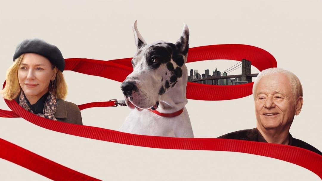 The Friend backdrop 7