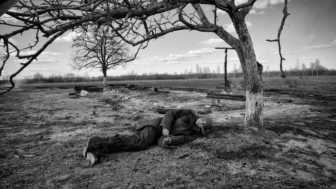 The Painted Bird backdrop 9