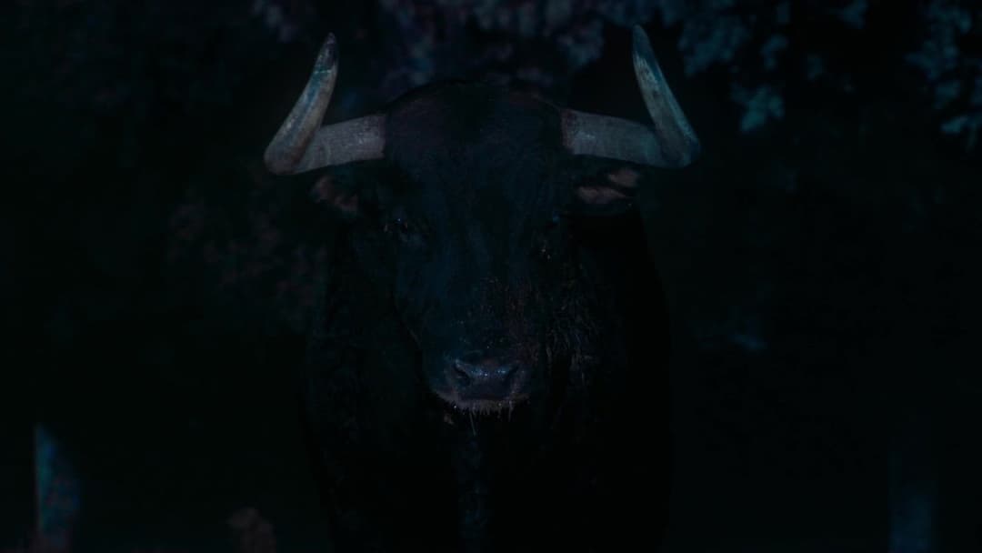 Afternoons of Solitude backdrop 7