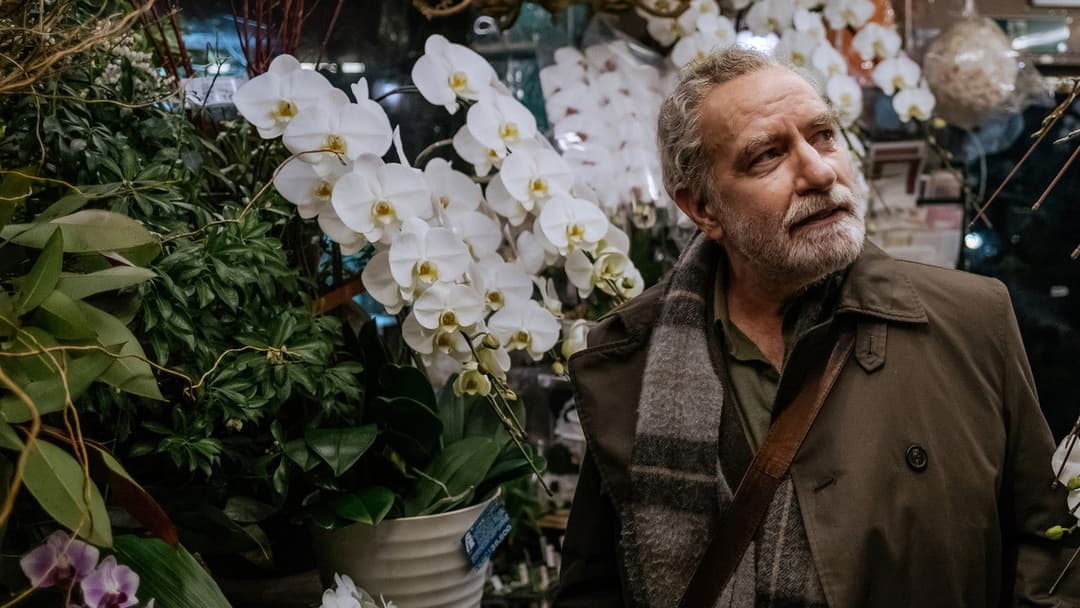 Дотик backdrop 3