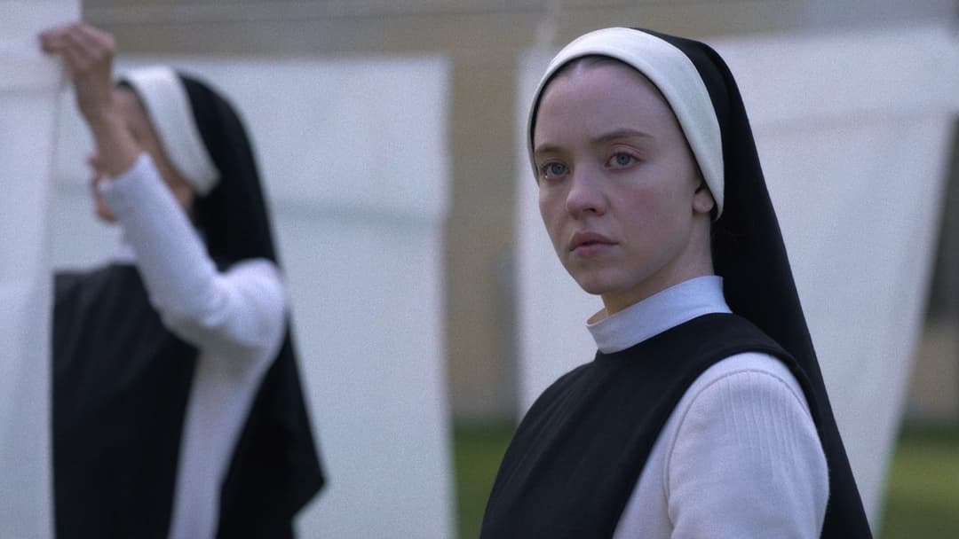 Immaculate backdrop 10