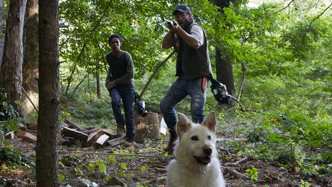 It Comes at Night backdrop 14