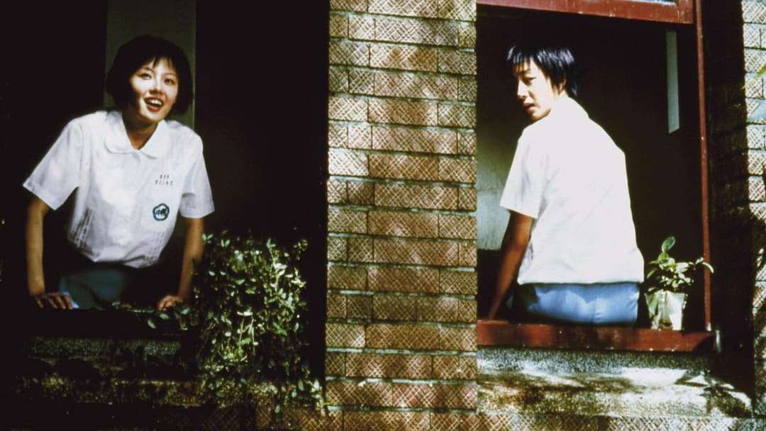 藍色大門 backdrop 4