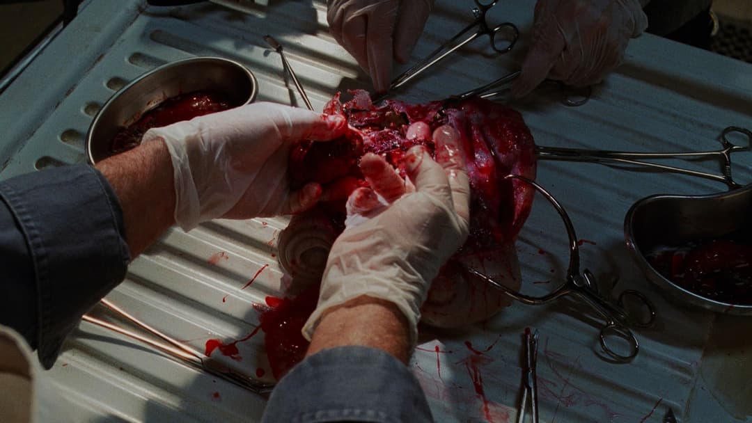 Екзистенція backdrop 19