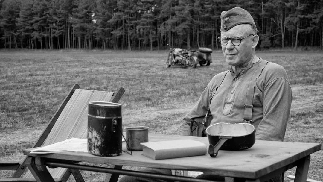 The Painted Bird backdrop 12