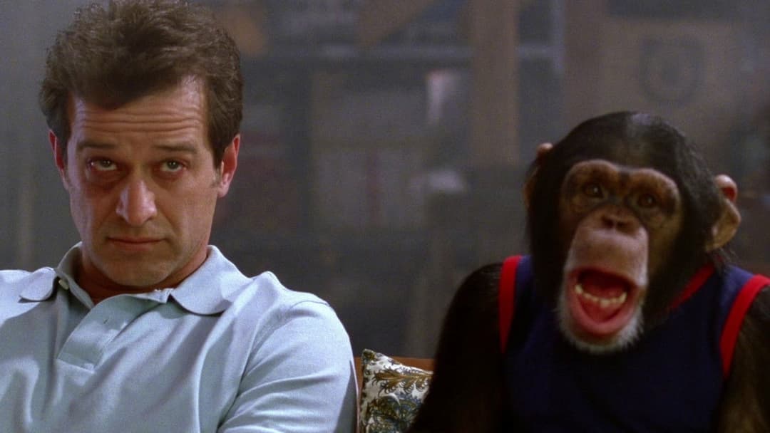 Grandma's Boy backdrop 15