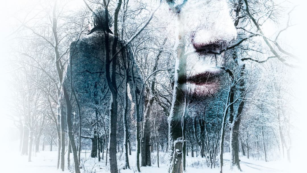 Дівчина в тумані backdrop 6