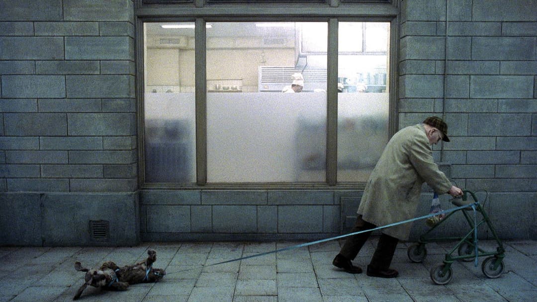 Du levande backdrop 3