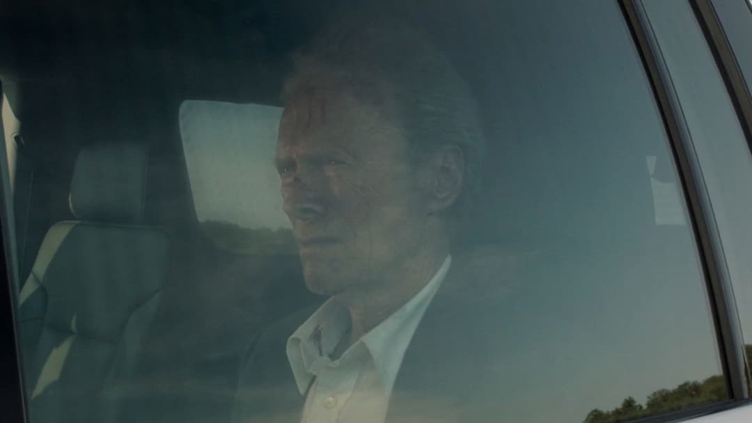 The Mule backdrop 14