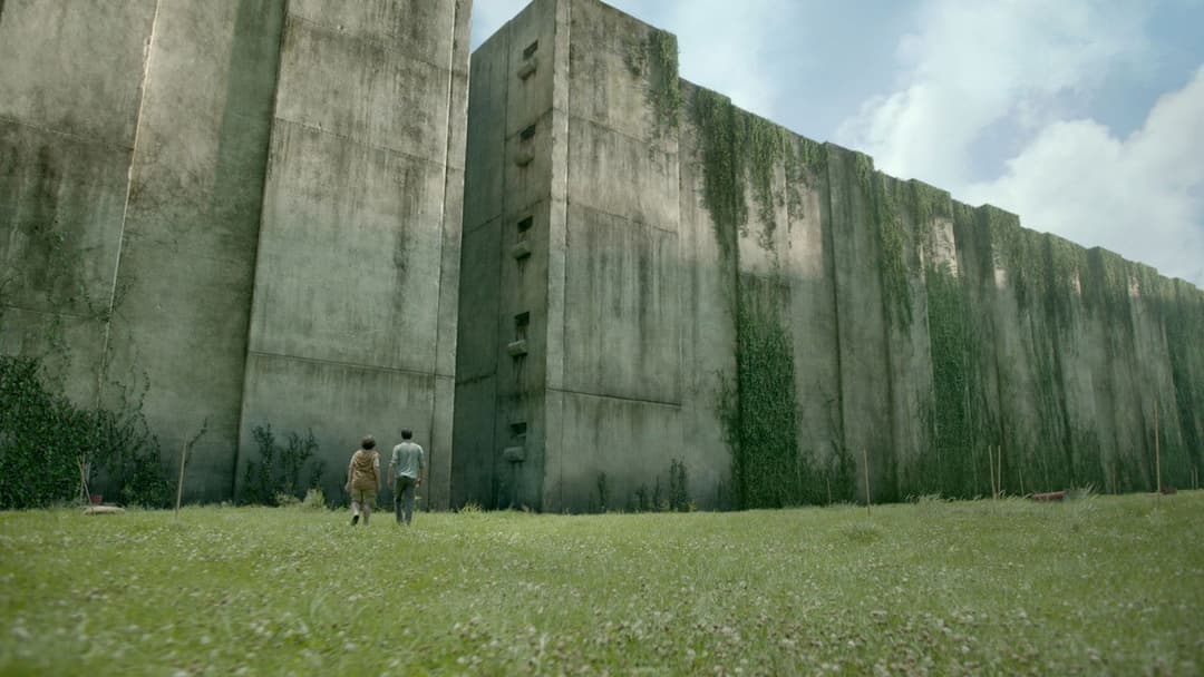 The Maze Runner backdrop 11
