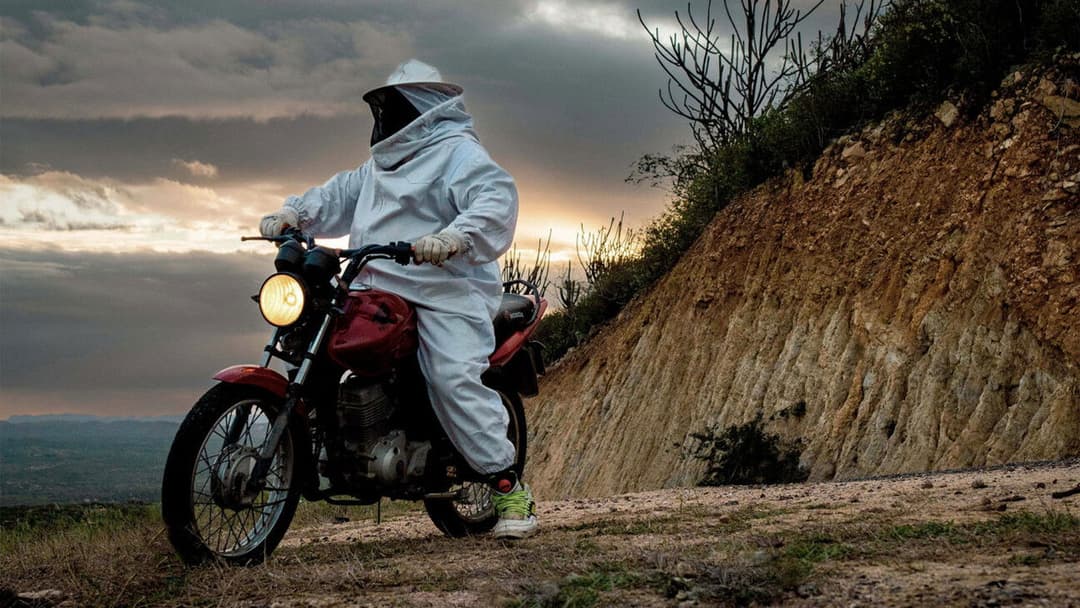 Yellow Cake backdrop 2