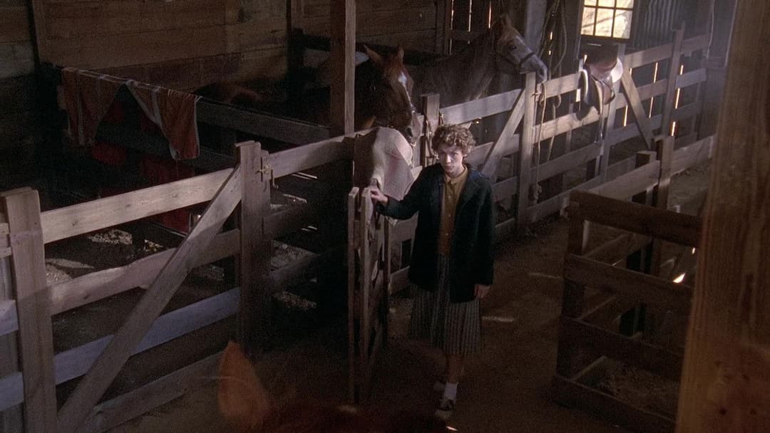 Temple Grandin backdrop 7