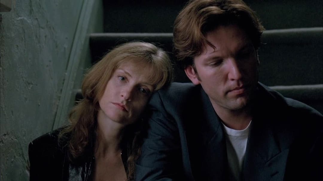 Аматор backdrop 15