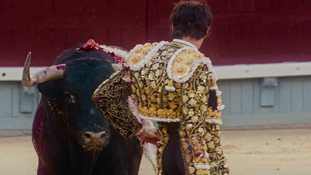 Afternoons of Solitude backdrop 6