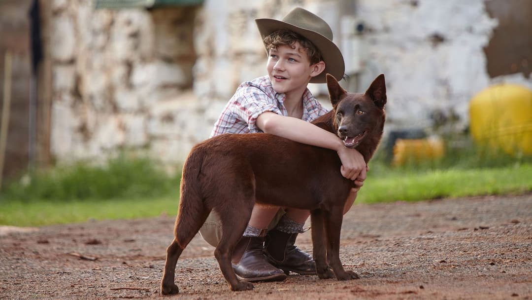 Рудий пес backdrop 4