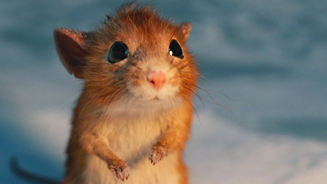 A Boy Called Christmas backdrop 16