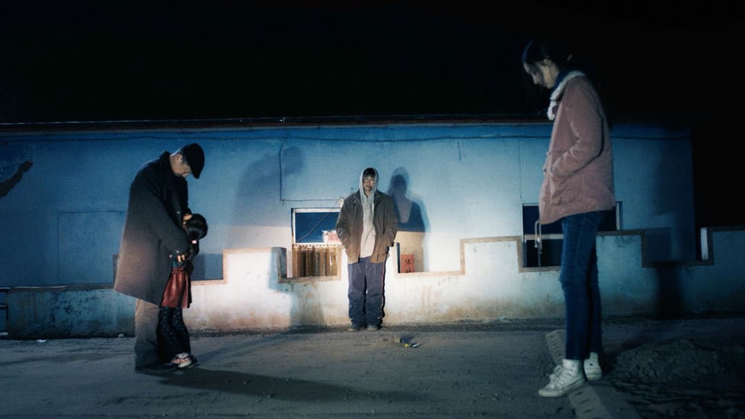 An Elephant Sitting Still backdrop 16