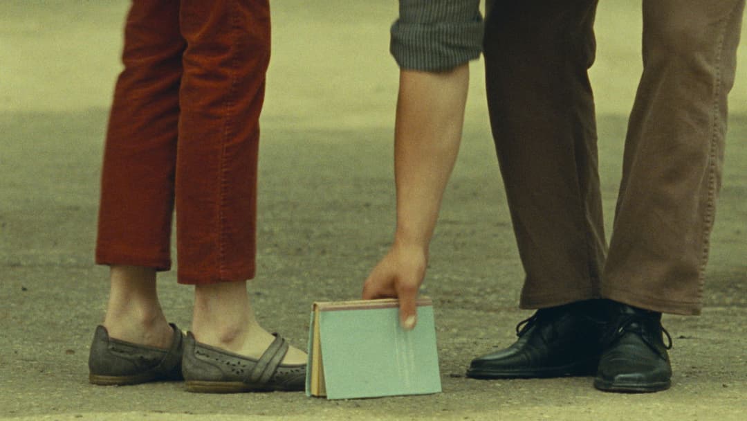 What Do We See When We Look at the Sky? backdrop 4