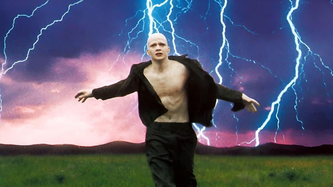 Пудра backdrop 5