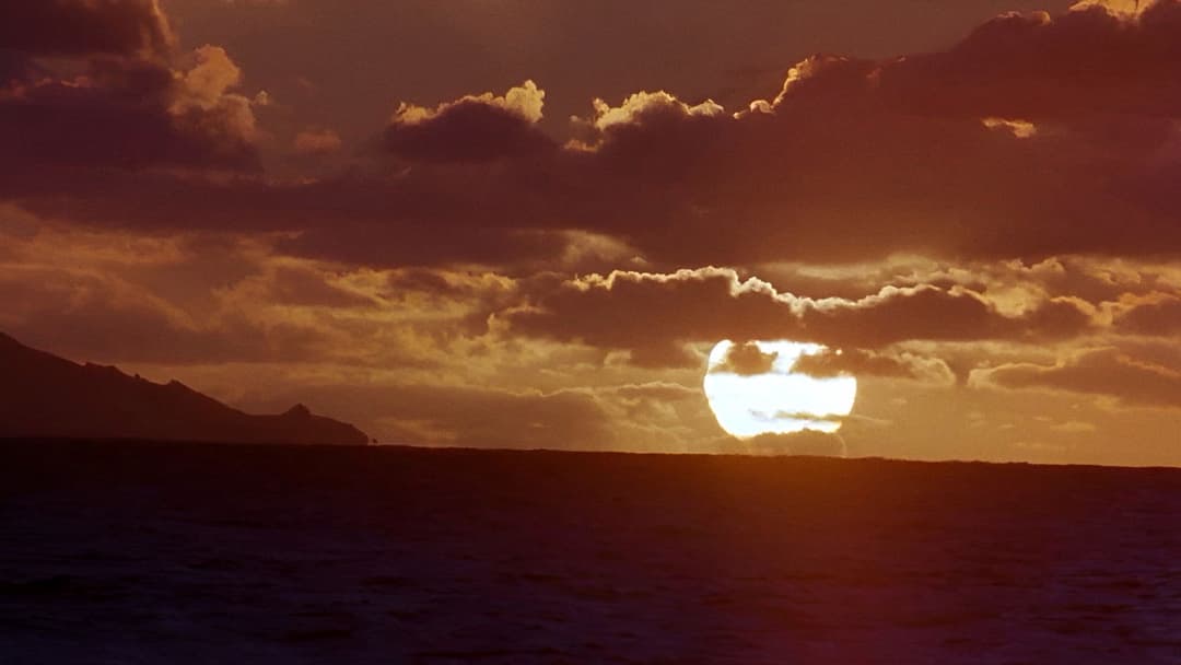 Crimson Tide backdrop 14