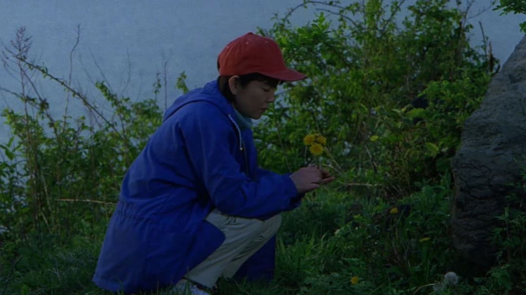 Hana-bi - Feuerblume backdrop 19