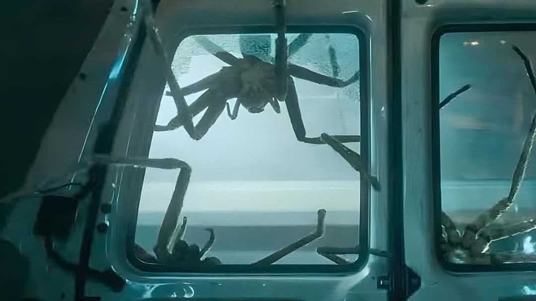 Павуче лігво backdrop 20