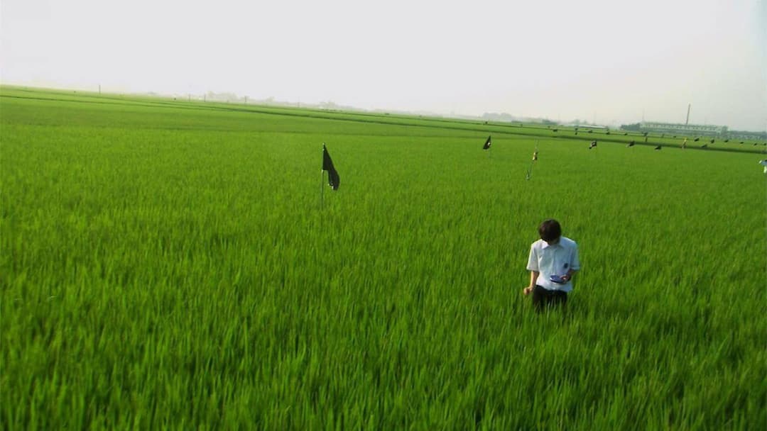 All About Lily Chou-Chou backdrop 4