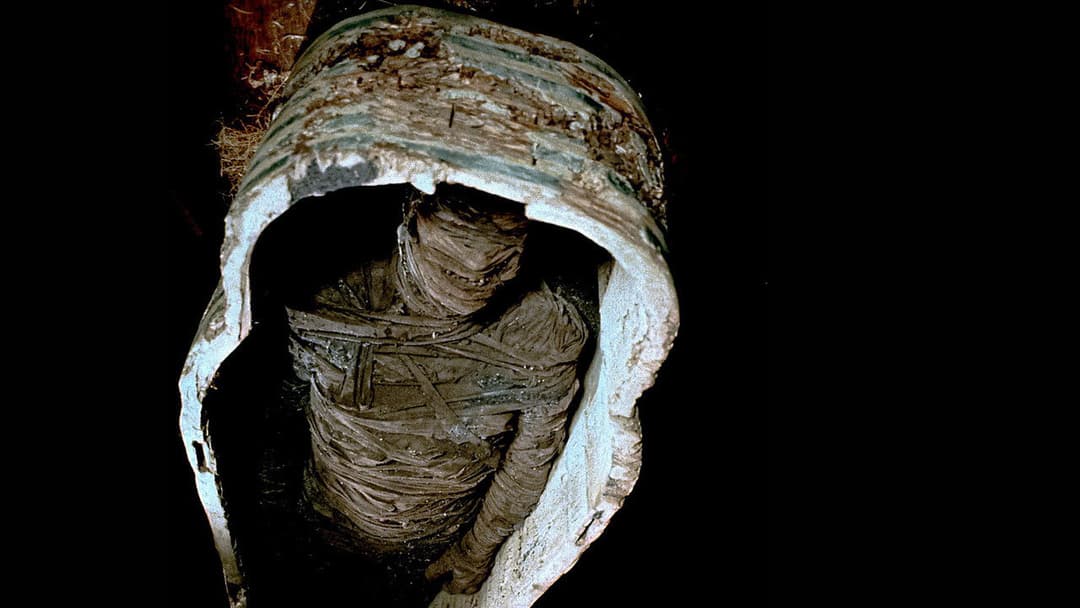 Tales from the Darkside: The Movie backdrop 11