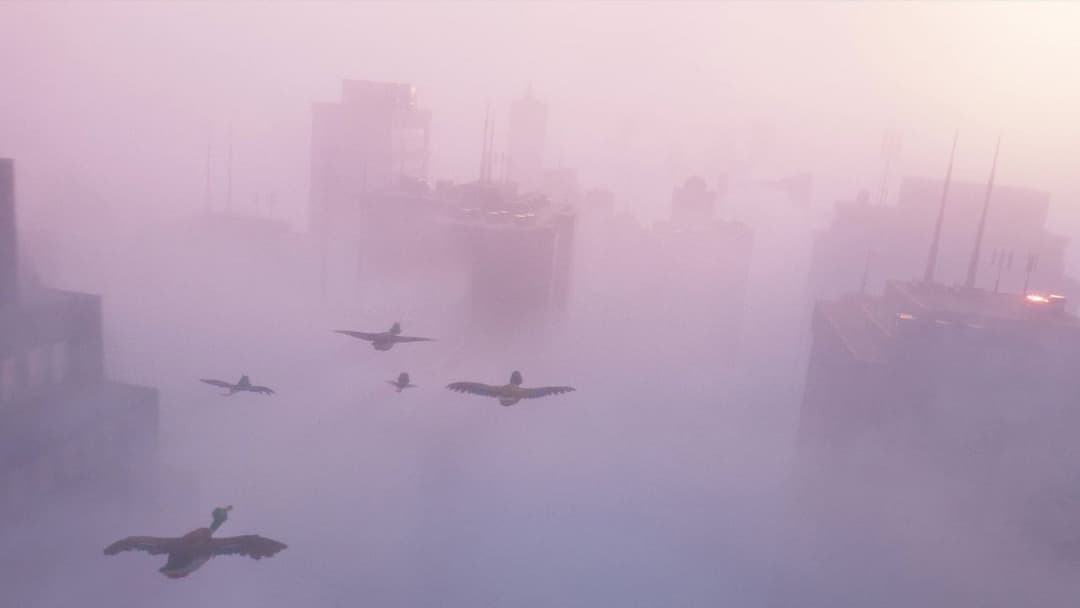 Переліт backdrop 11