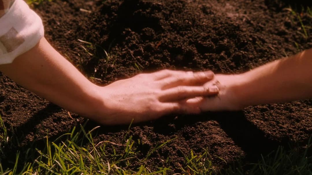 Verliebt und ausgeflippt backdrop 7