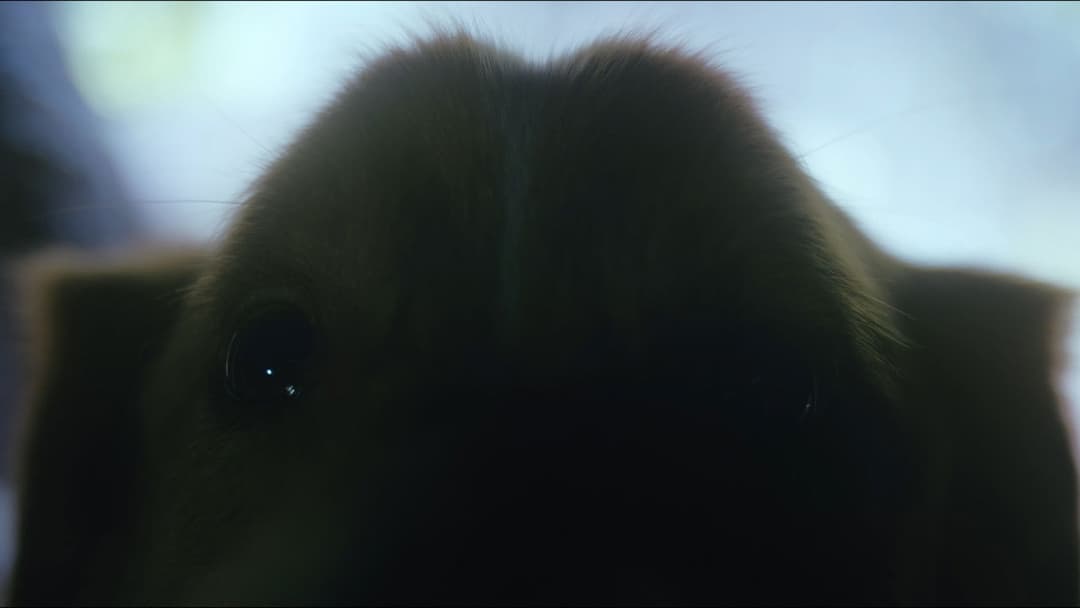 Хороший хлопчик backdrop 20