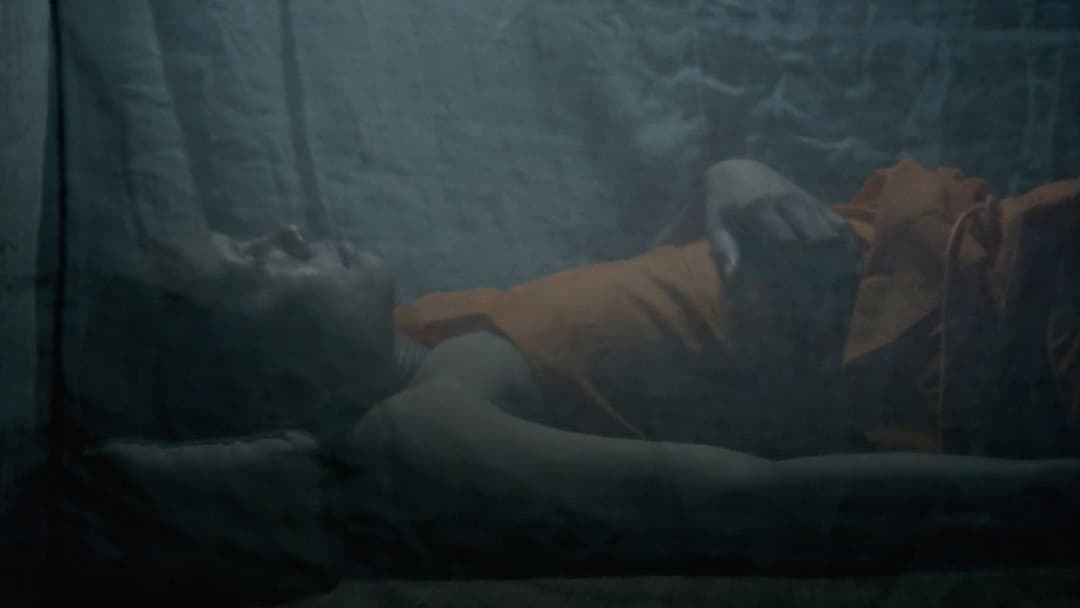 Uncle Boonmee Who Can Recall His Past Lives backdrop 16