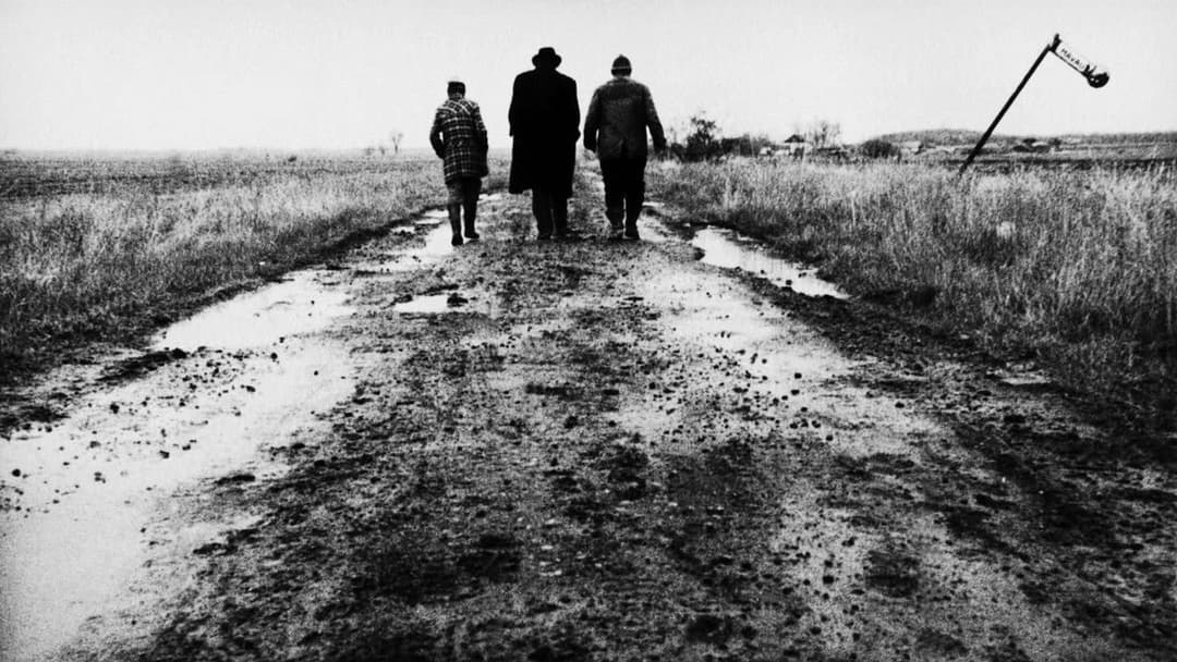 Satantango backdrop 7