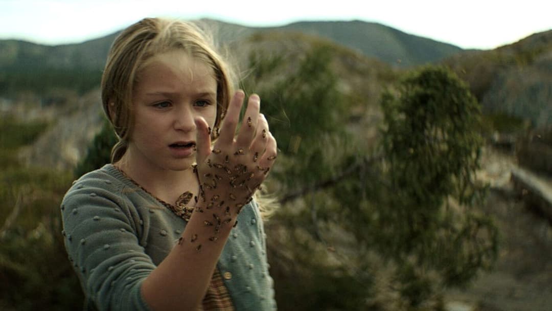 The King Tide backdrop 10