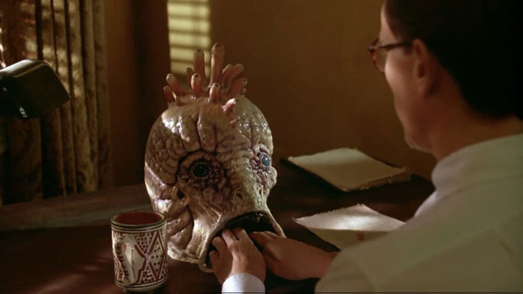 Naked Lunch backdrop 15