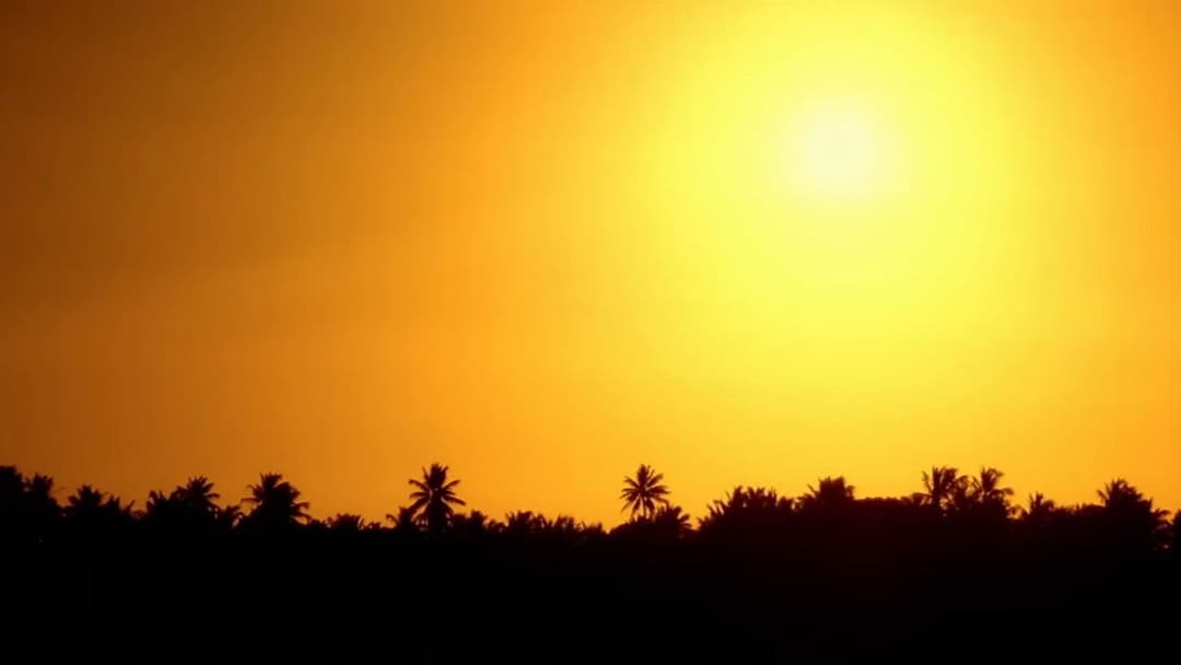 Deus é Brasileiro backdrop 15