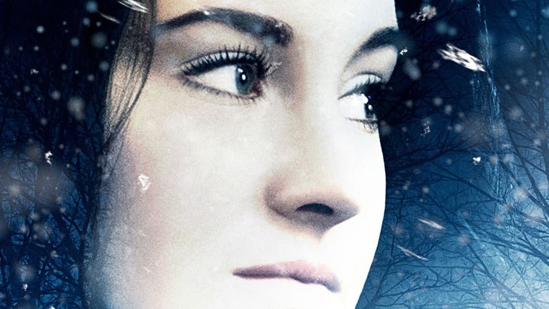 Білий птах у хуртовині backdrop 13