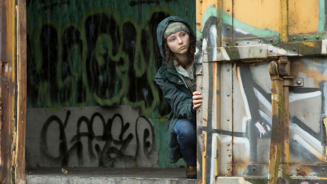 Leave No Trace backdrop 17