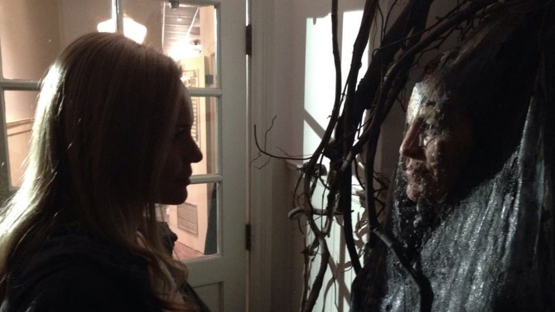 Сомнія backdrop 6