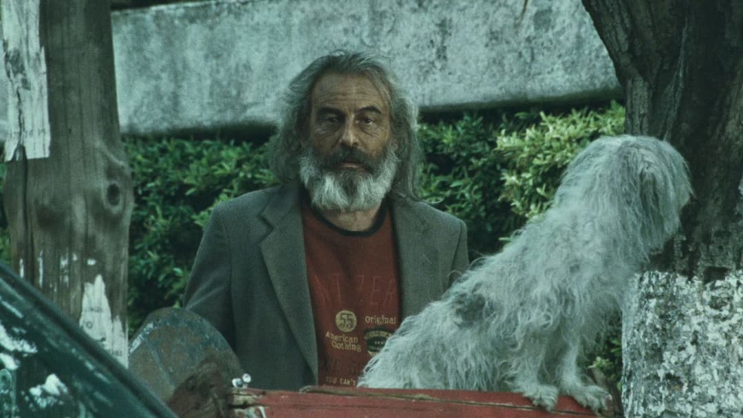 Amores perros backdrop 13