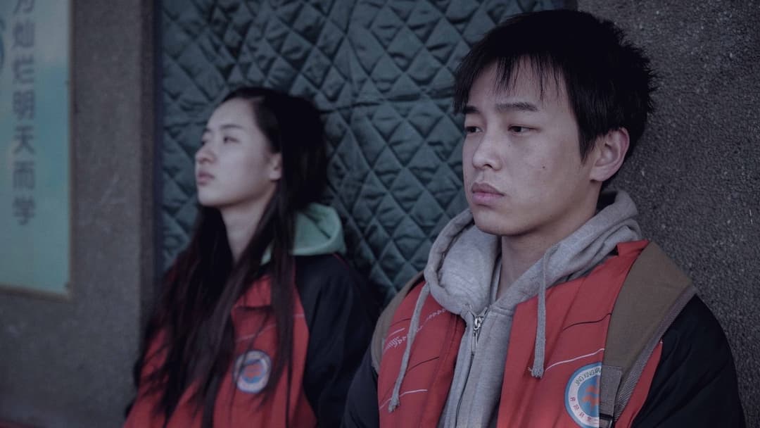 An Elephant Sitting Still backdrop 4