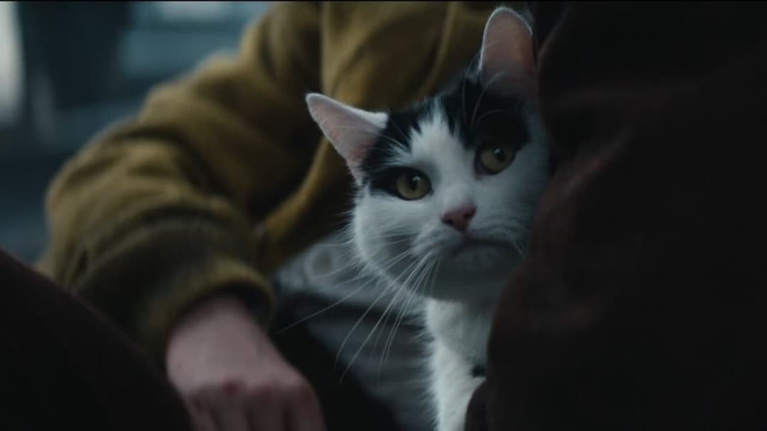 Тихе місце: День перший backdrop 10