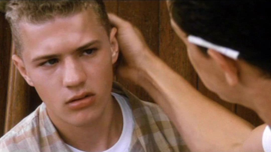 Білий шквал backdrop 16