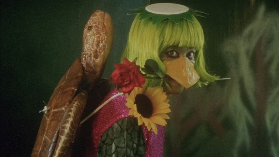 Dead or Alive 2: Birds backdrop 4